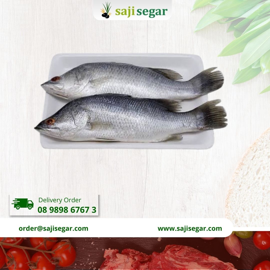 kakap putih 500gr | ikan Baramundi White Snapper / Ikan Kakap Putih